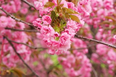 苏州吴江区1线下个人借款平台一站式服务，轻松解决资金难题