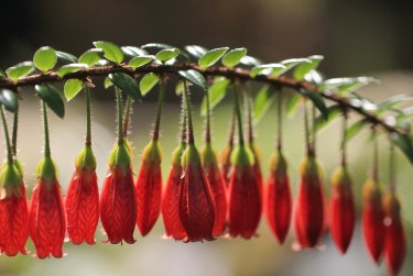 苏州吴江区1零用贷短借：轻松解决临时资金需求