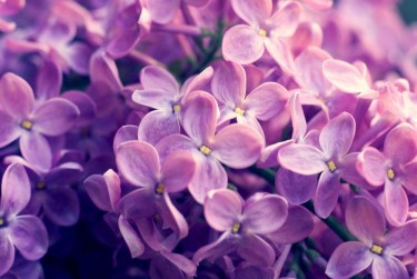 苏州吴江区1企业急用钱贷款攻略：快速融资解燃眉之急